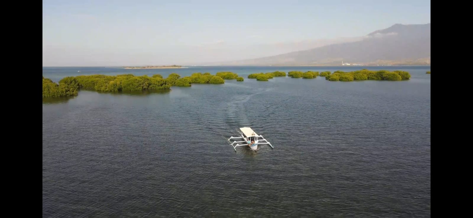 Bateau naviguant sur un lagon entouré de mangroves